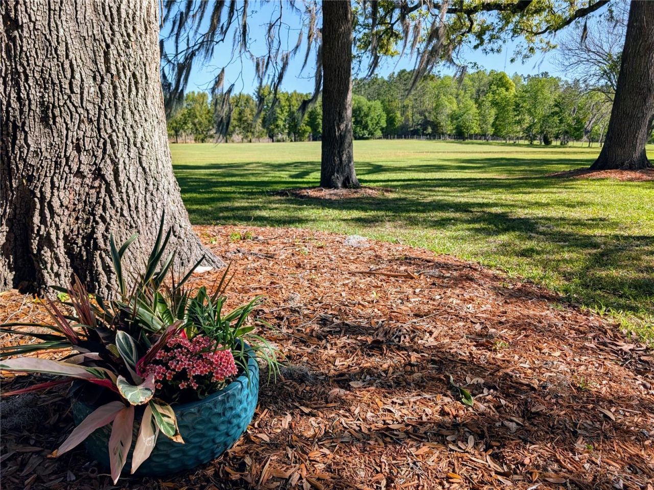 21840 NW 218th Terrace, High Springs, FL 32643 Photo