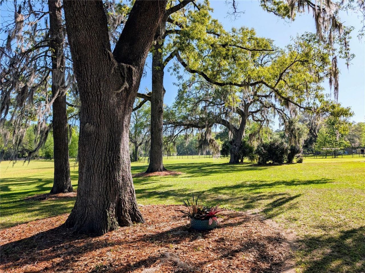 21840 NW 218th Terrace, High Springs, FL 32643 Photo