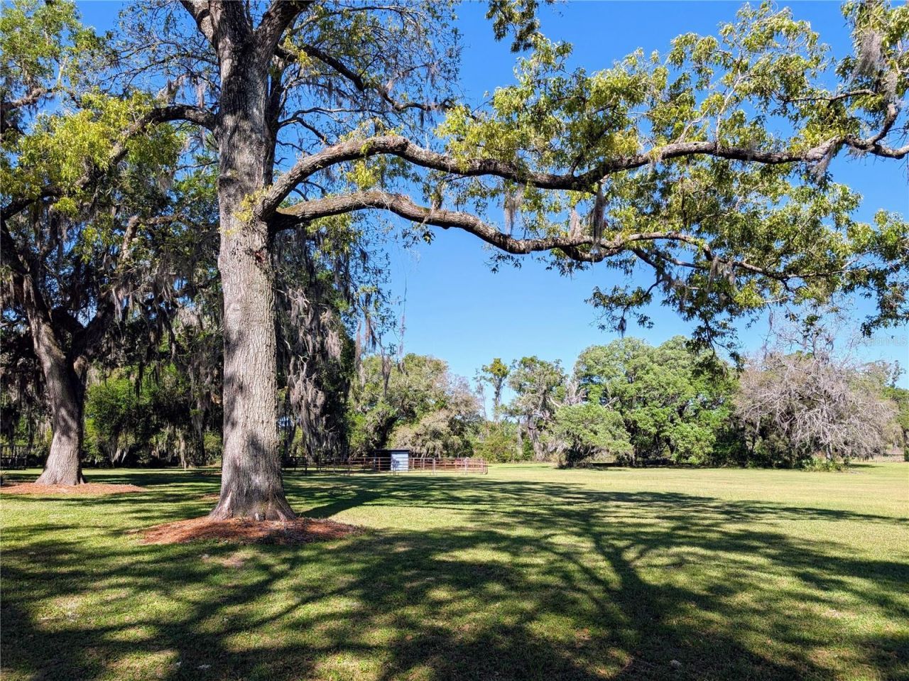 21840 NW 218th Terrace, High Springs, FL 32643 Photo