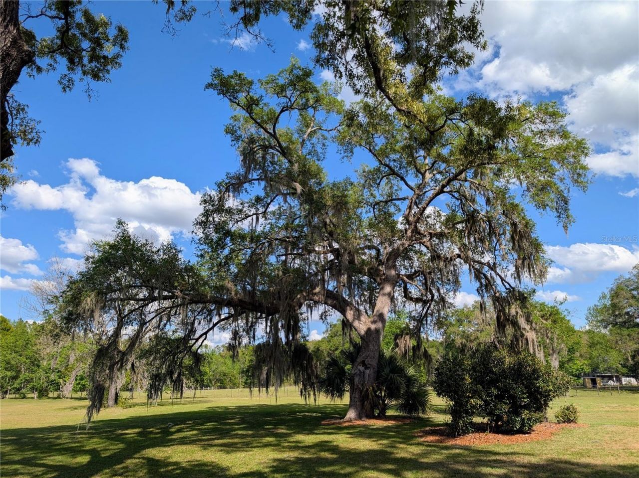 21840 NW 218th Terrace, High Springs, FL 32643 Photo