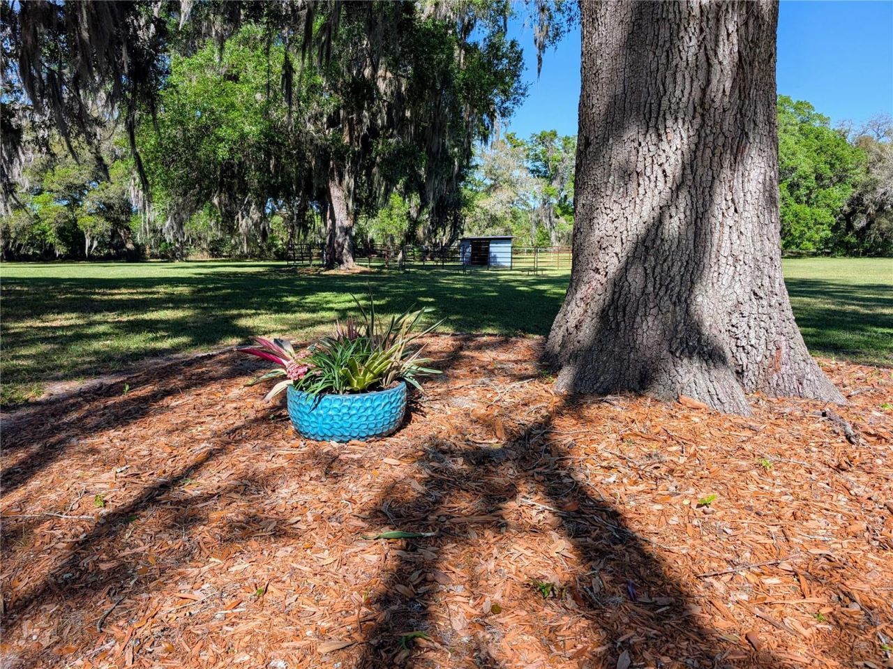 21840 NW 218th Terrace, High Springs, FL 32643 Photo