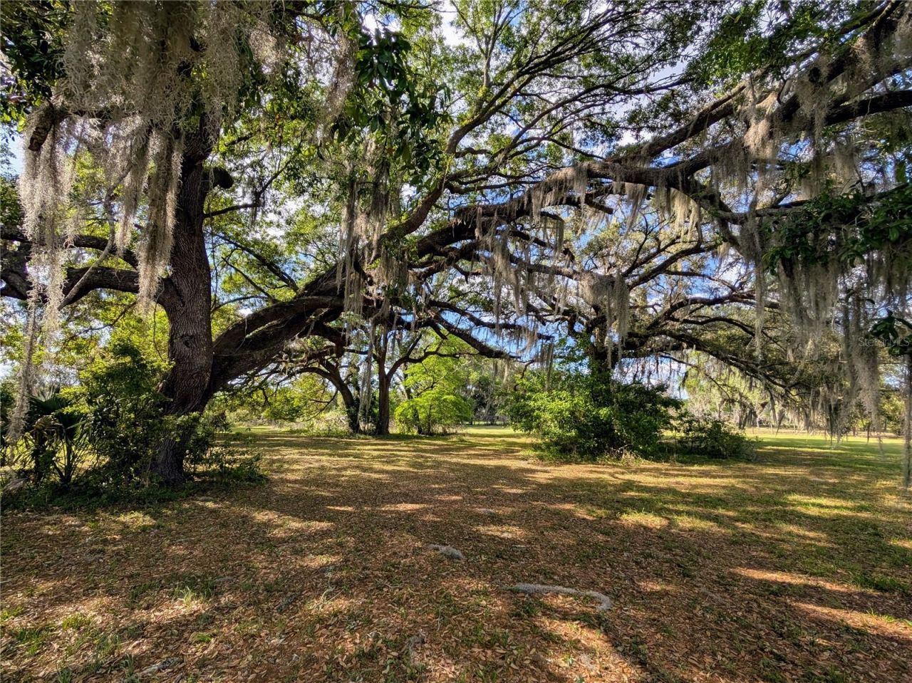 21840 NW 218th Terrace, High Springs, FL 32643 Photo