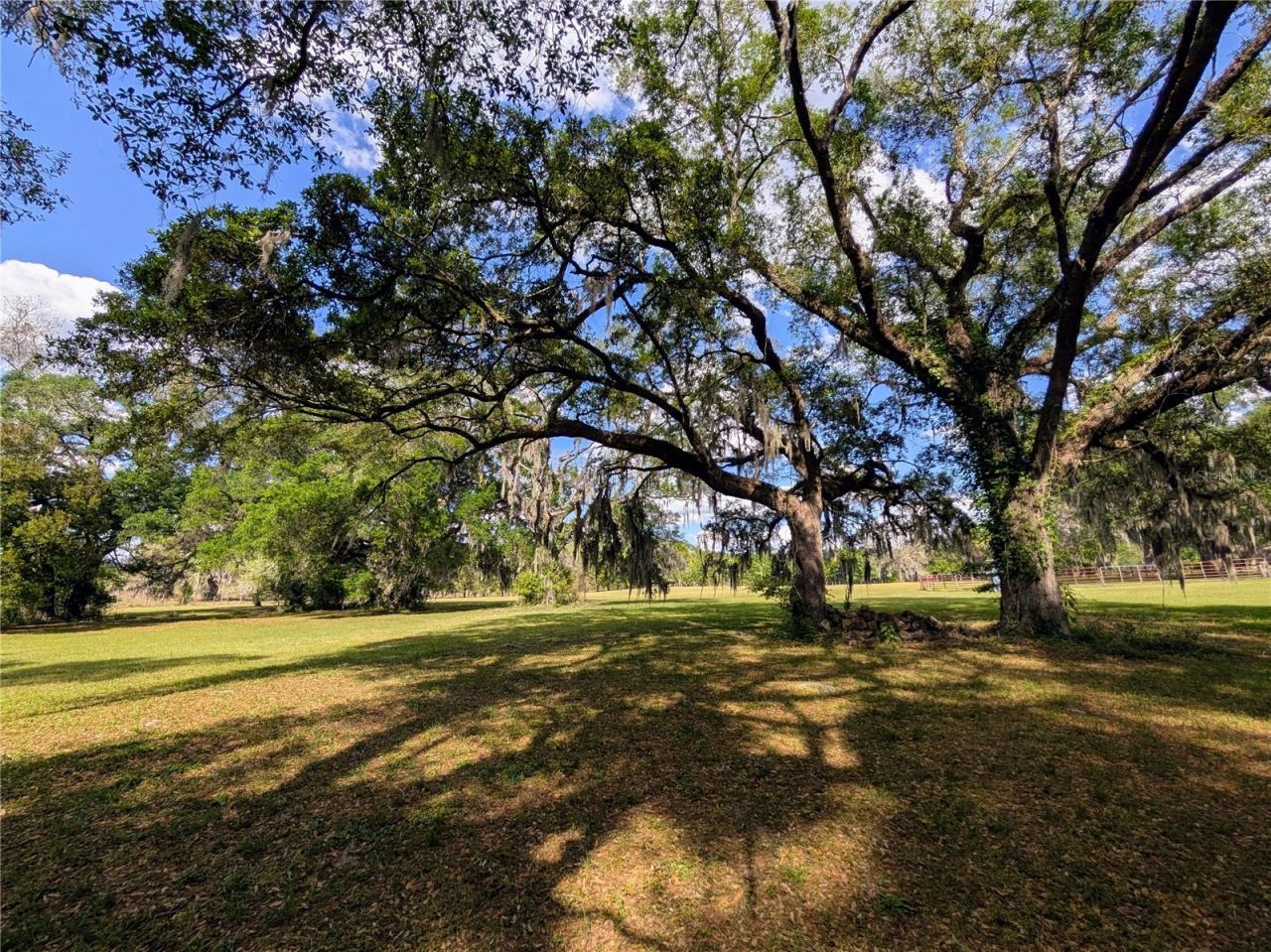 21840 NW 218th Terrace, High Springs, FL 32643 Photo