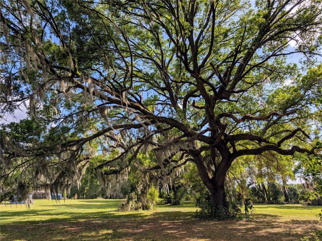 21840 NW 218th Terrace, High Springs, FL 32643 Photo