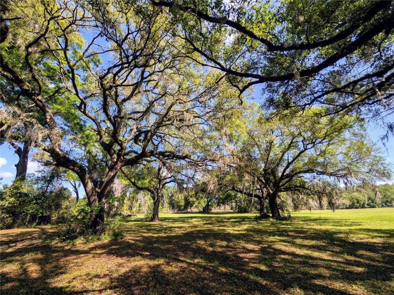 21840 NW 218th Terrace, High Springs, FL 32643 Photo