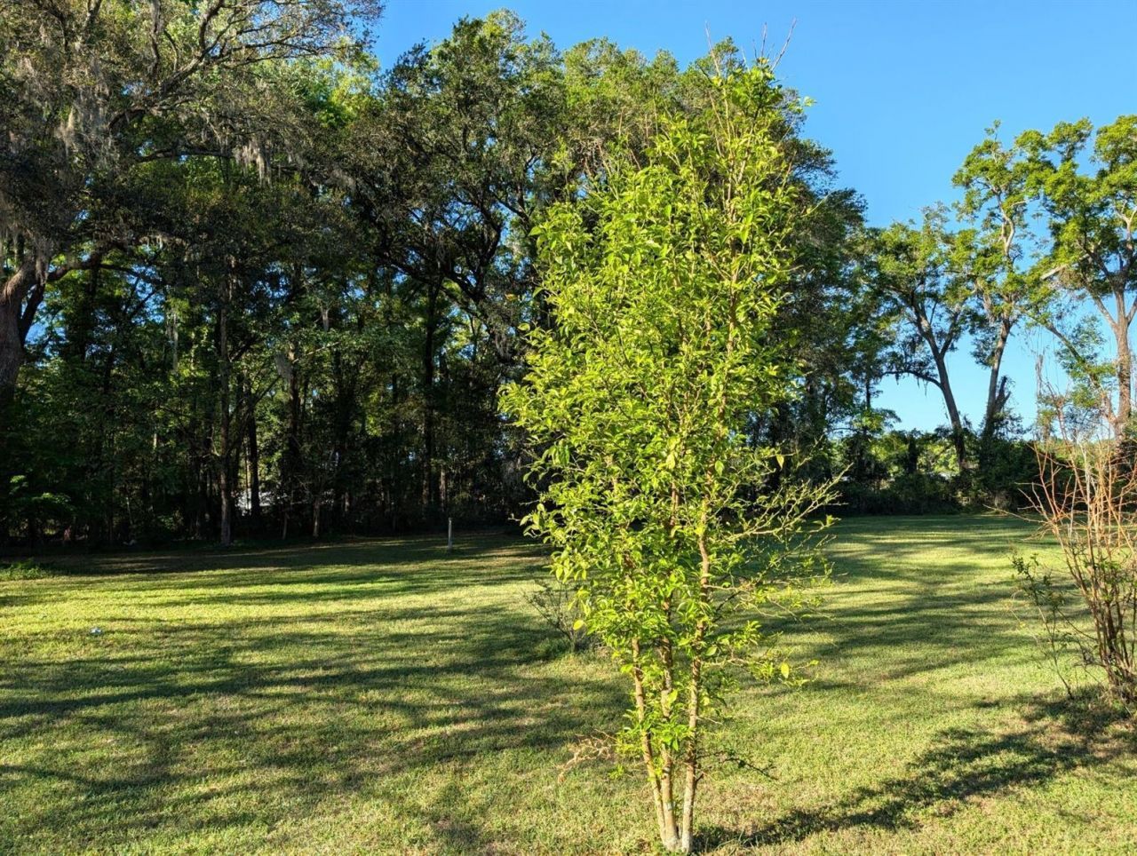 21840 NW 218th Terrace, High Springs, FL 32643 Photo