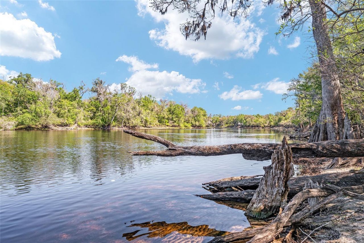 7870 SW 25th Place , Bell, FL 32619 Photo