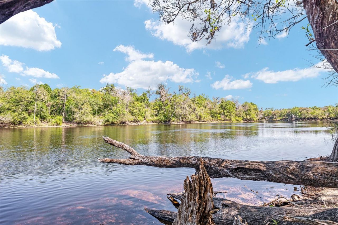 7870 SW 25th Place , Bell, FL 32619 Photo