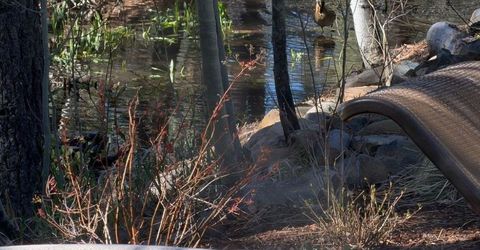 10303 White Fir Road, Truckee, CA 96161 Photo