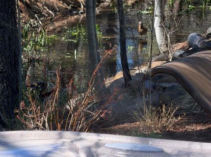 10303 White Fir Road, Truckee, CA 96161 Photo