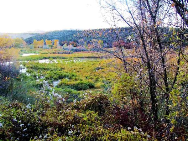 TBD Highway 330, Collbran, CO 81624