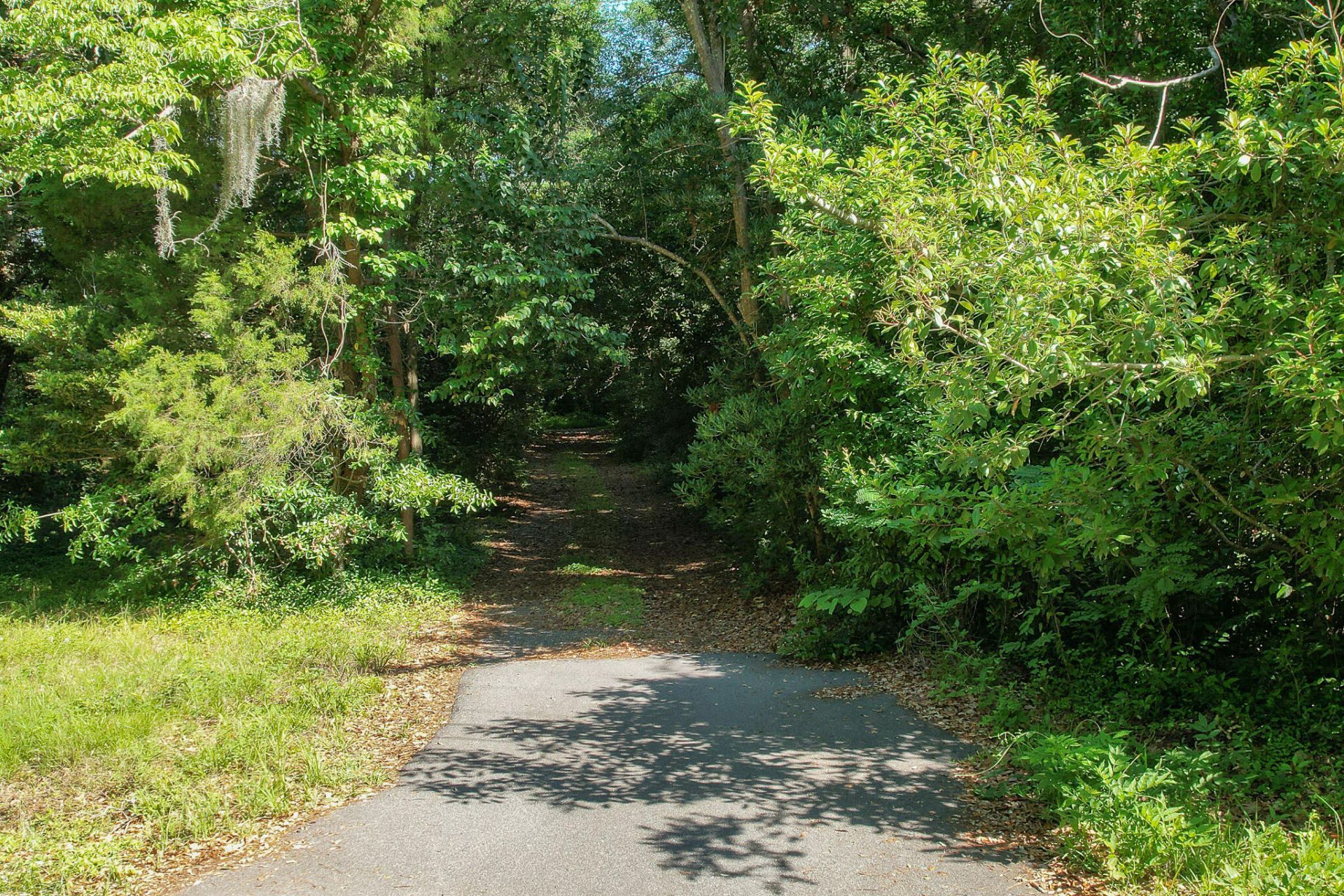 2180 Wappoo Hall Road  Photo 4