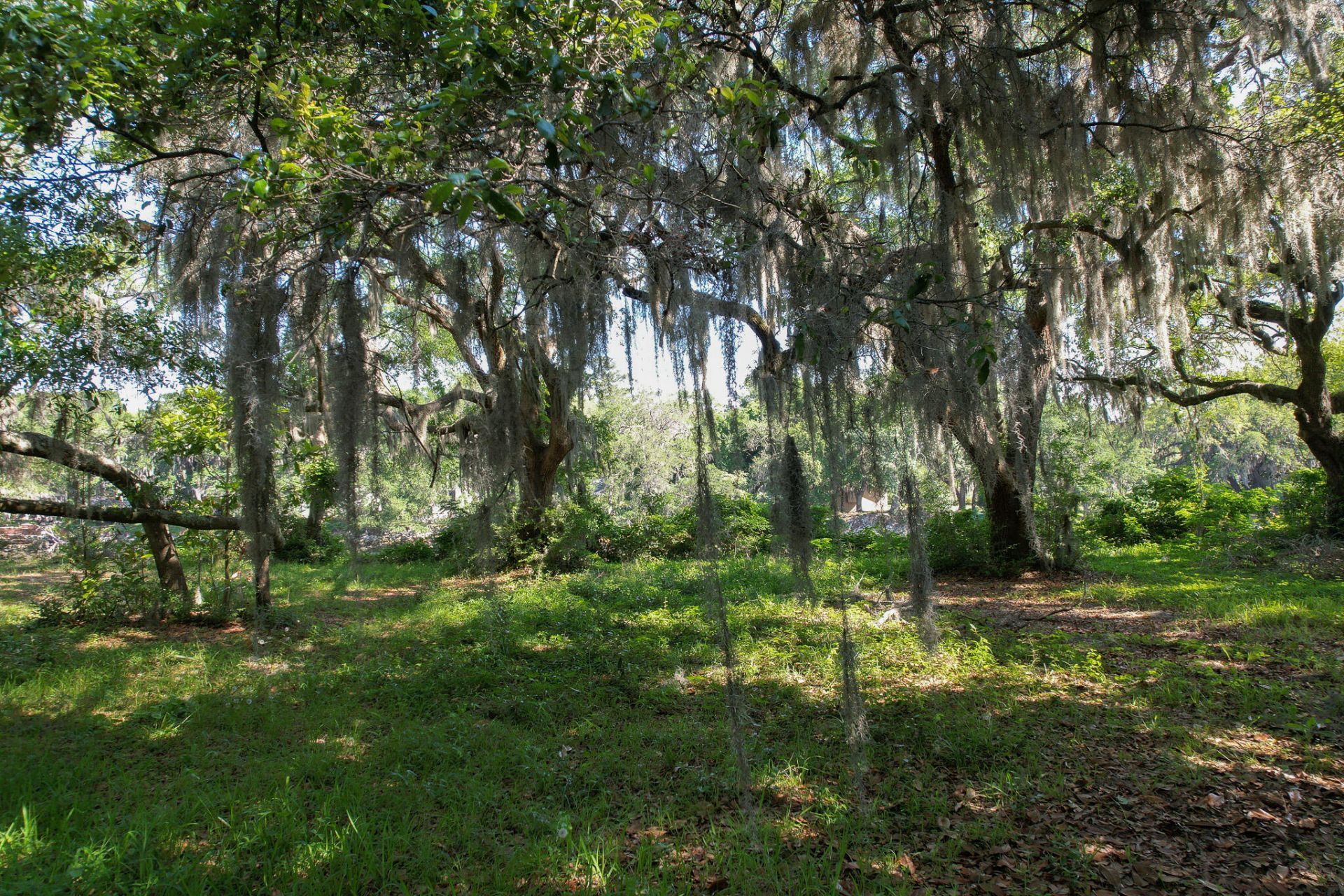 2180 Wappoo Hall Road  Photo 5