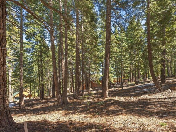 14059 Pathway Avenue, Truckee, CA 96161