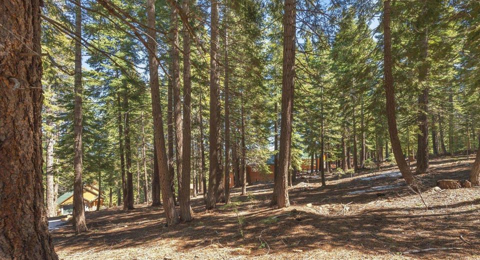 14059 Pathway Avenue, Truckee, CA 96161 Photo