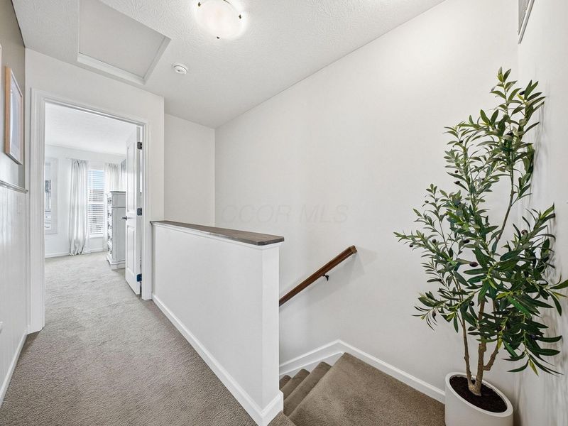 5520 Sentinel Falls Street, Dublin, OH 43016 Photo 18