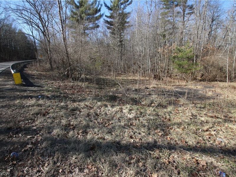 Oh-45, Lisbon, OH 44432 Photo 1