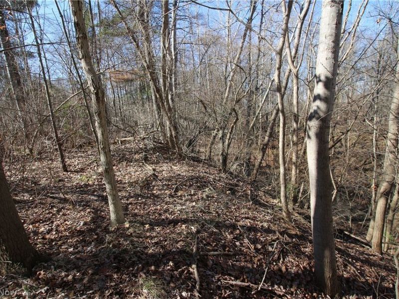 Oh-45, Lisbon, OH 44432 Photo 3