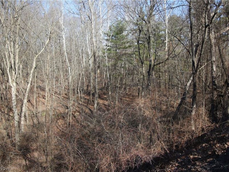 Oh-45, Lisbon, OH 44432 Photo 4