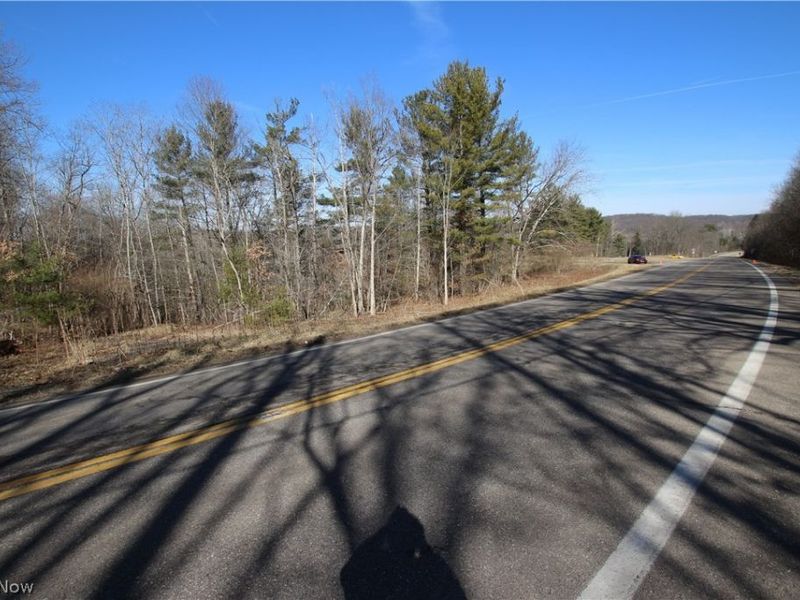 Oh-45, Lisbon, OH 44432 Photo 6