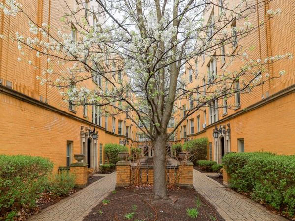 Unit 3D, Chicago, IL 60641