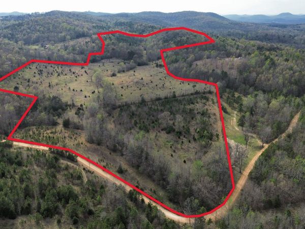 77 Coon Dog Lane , Melbourne, AR 72556