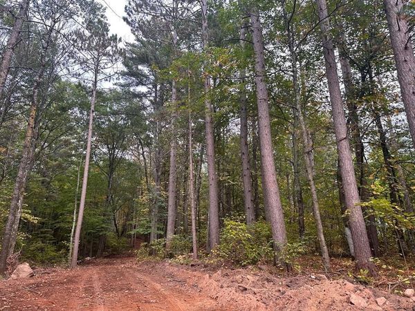 0 Sabin Road, Hayward, WI 54843