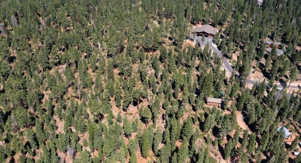 3600 Dinah Road, Carnelian Bay, CA 96140 Photo