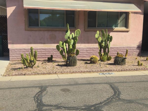 3411 S CAMINO SECO, Unit 233, Tucson, AZ 85730