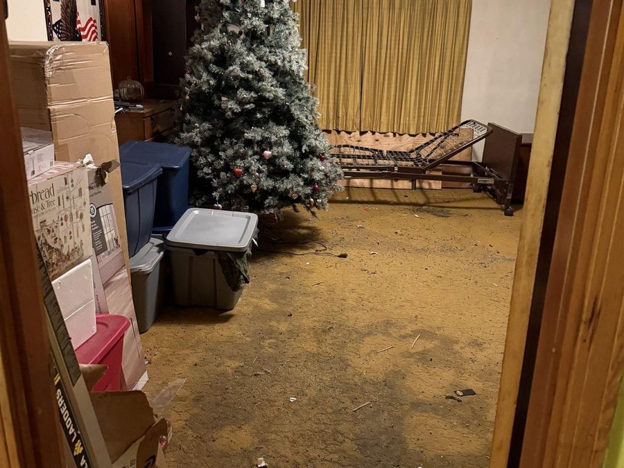 Property Image 34