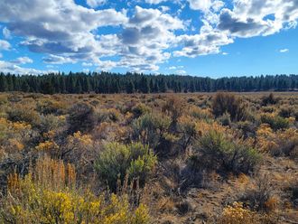 0 Tableland Road Sprague River, OR 97639