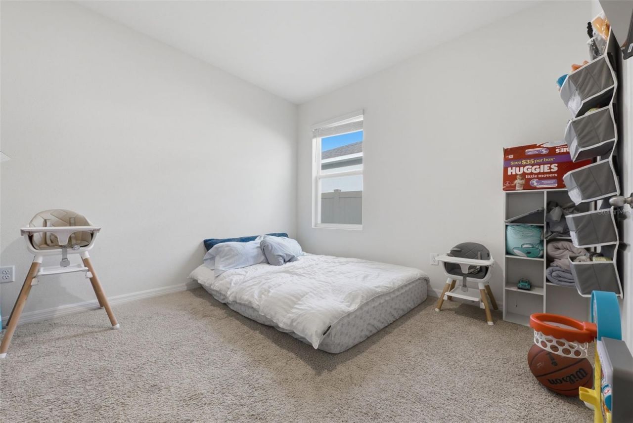 11308 Amber Ridge Drive, Zellwood, FL 32798 Photo