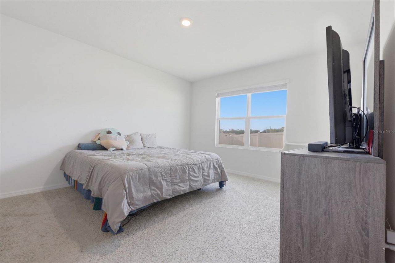 11308 Amber Ridge Drive, Zellwood, FL 32798 Photo