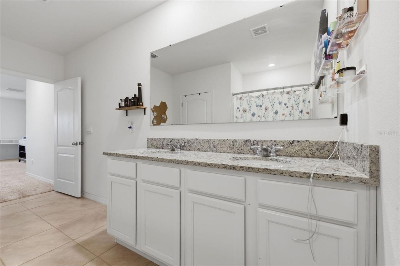 11308 Amber Ridge Drive, Zellwood, FL 32798 Photo