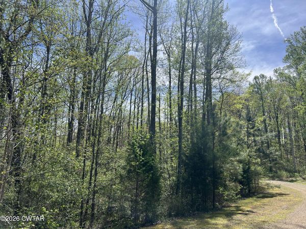 35 Torpedo Ct (Lot 119), Cedar Grove, TN 38321