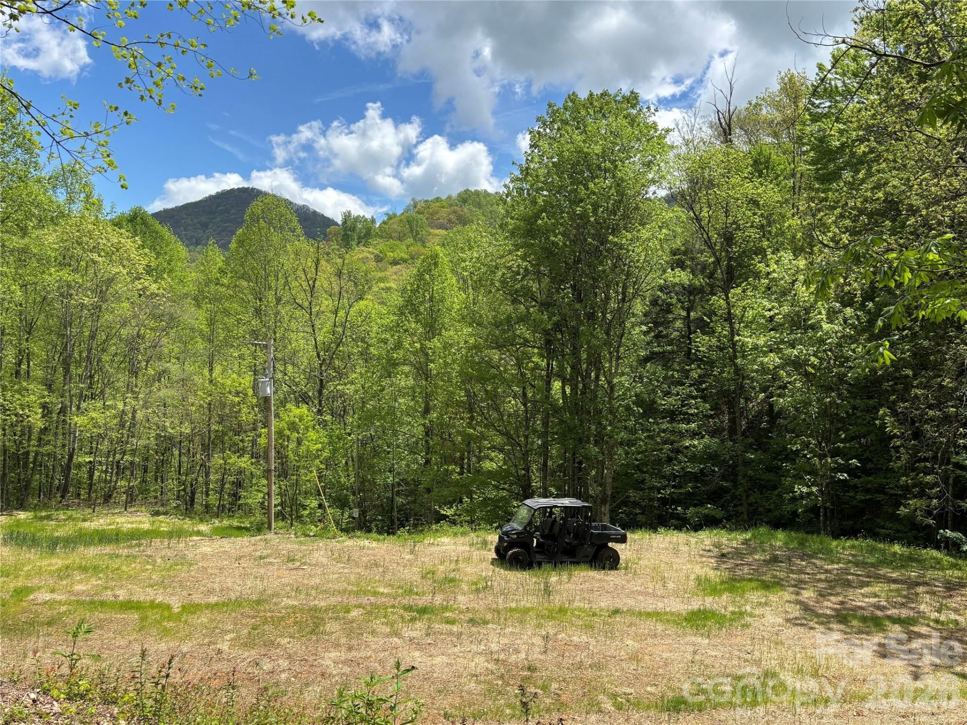 (south Lot) Meadow Fork Road, Hot Springs, NC 28743 Main Photo