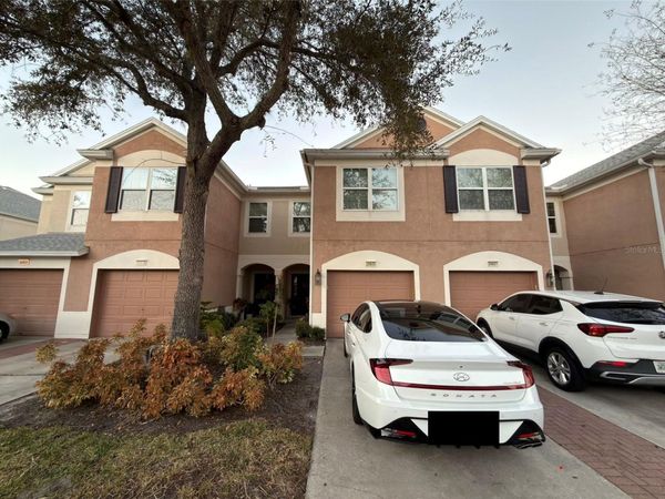 26605 CHIMNEY SPIRE LANE , WESLEY CHAPEL, FL 33544