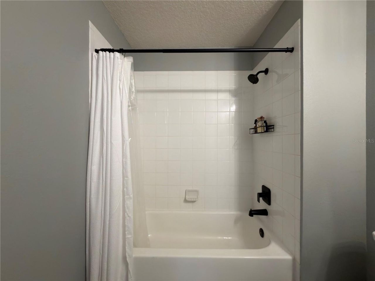 26605 Chimney Spire Lane, Wesley Chapel, FL 33544 Photo
