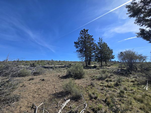 0 Fur Trapper Drive, Unit 200, Chiloquin, OR 97624