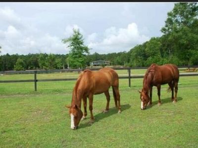 2003 United Drive, Huger, SC 29450