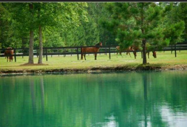 2003 United Drive Photo 8