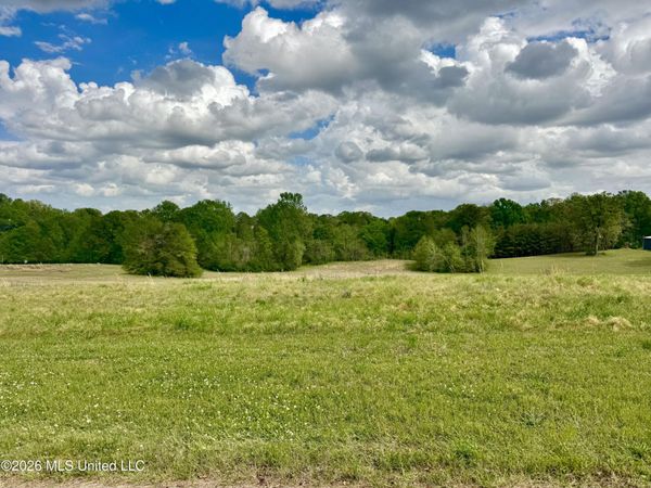 000001 Meadow Oak Lane, Clinton, MS 39056