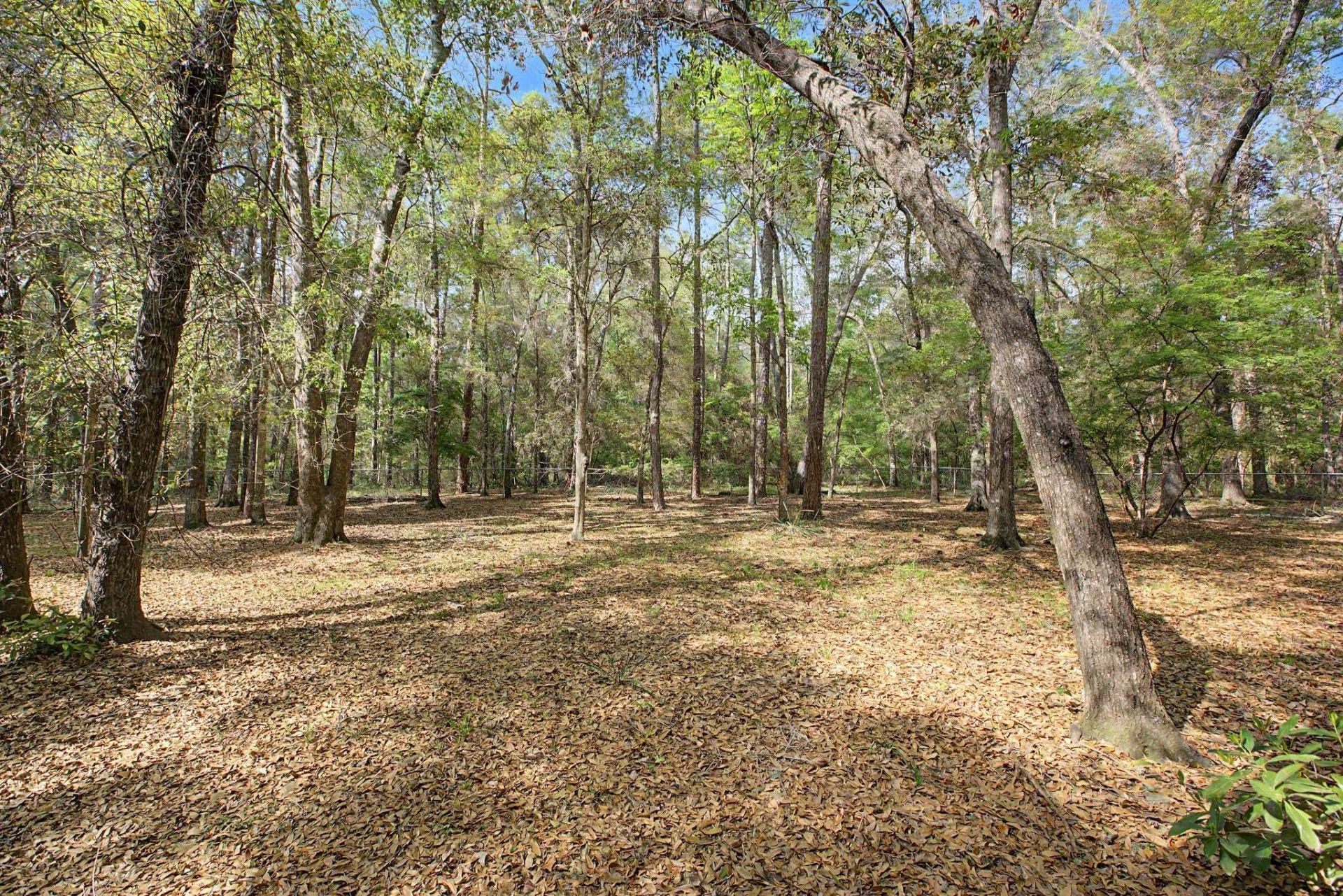 150 E Deer Pass Road, Havana, FL 00000 Photo