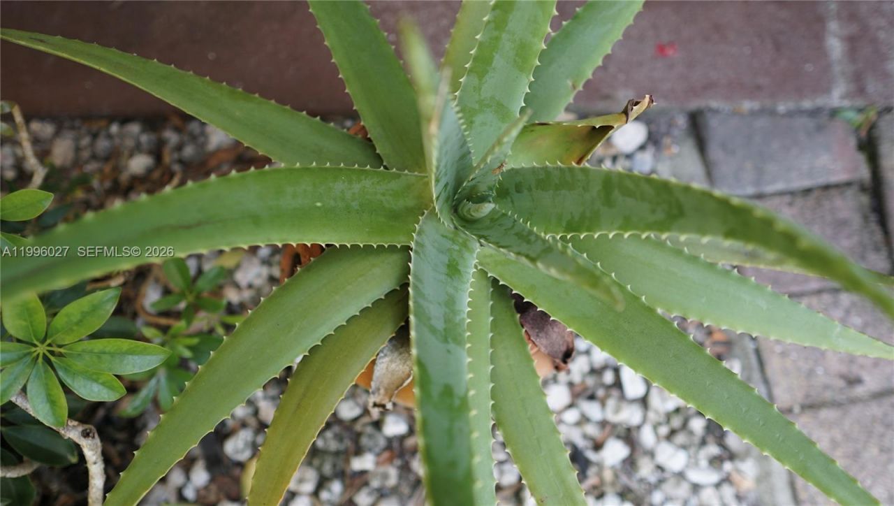 10722 La Placida Dr , Unit 9-B2, Coral Springs, FL 33065 Photo