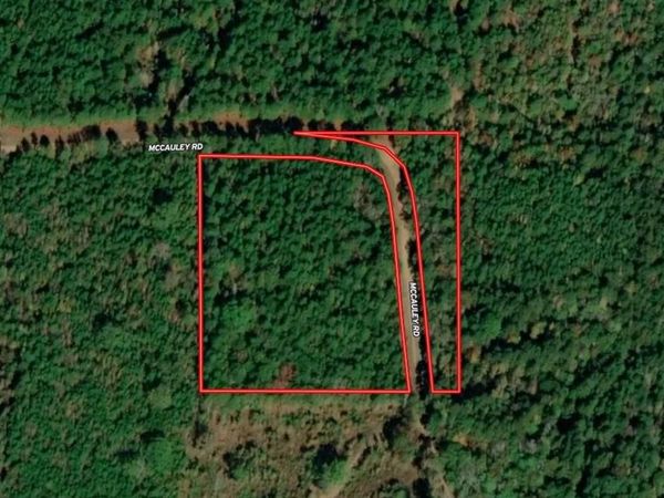 0 McCauley Road , Plain Dealing, LA 71064