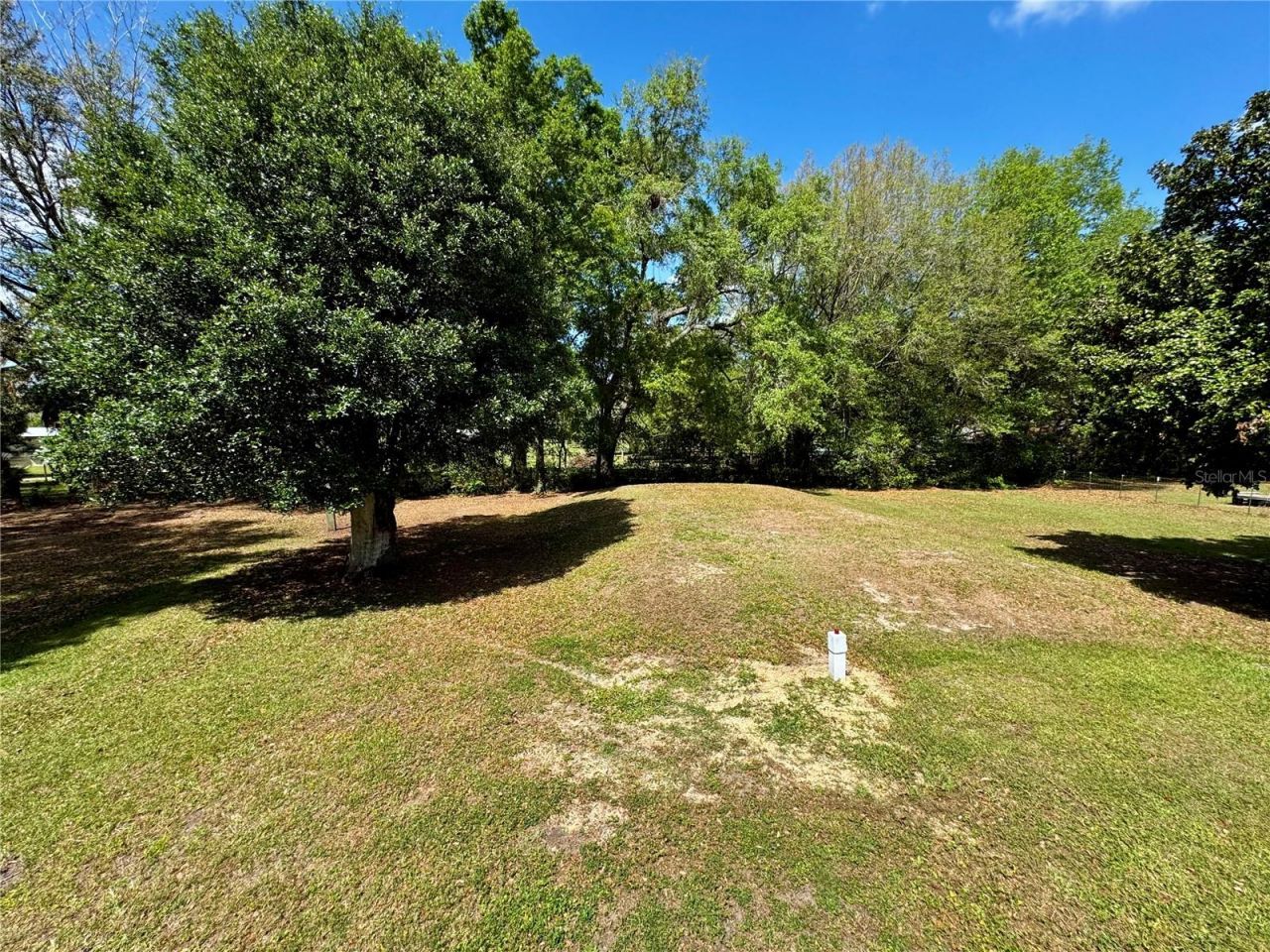 7222 NW 205th Terrace, Alachua, FL 32615 Photo