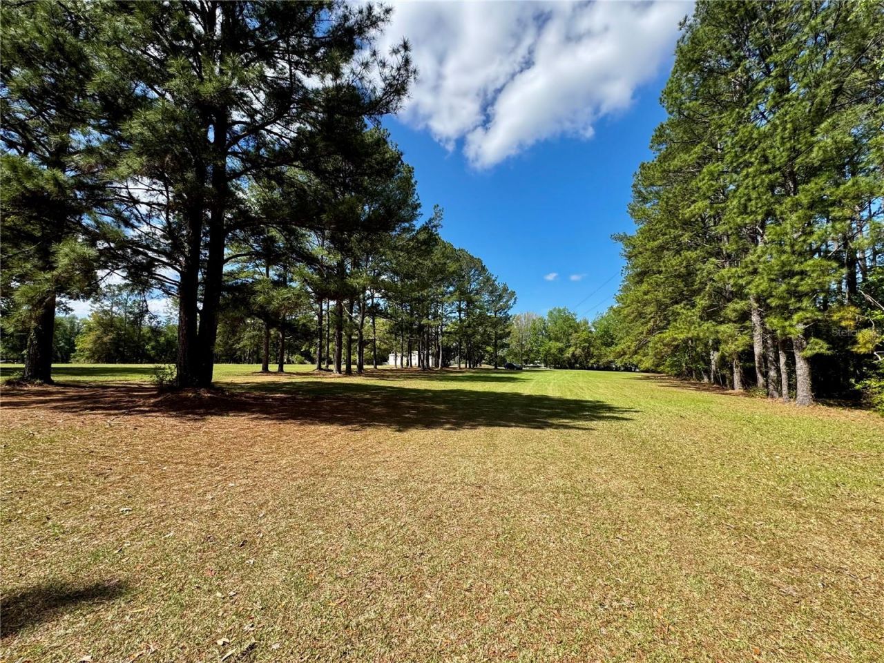 7222 NW 205th Terrace, Alachua, FL 32615 Photo