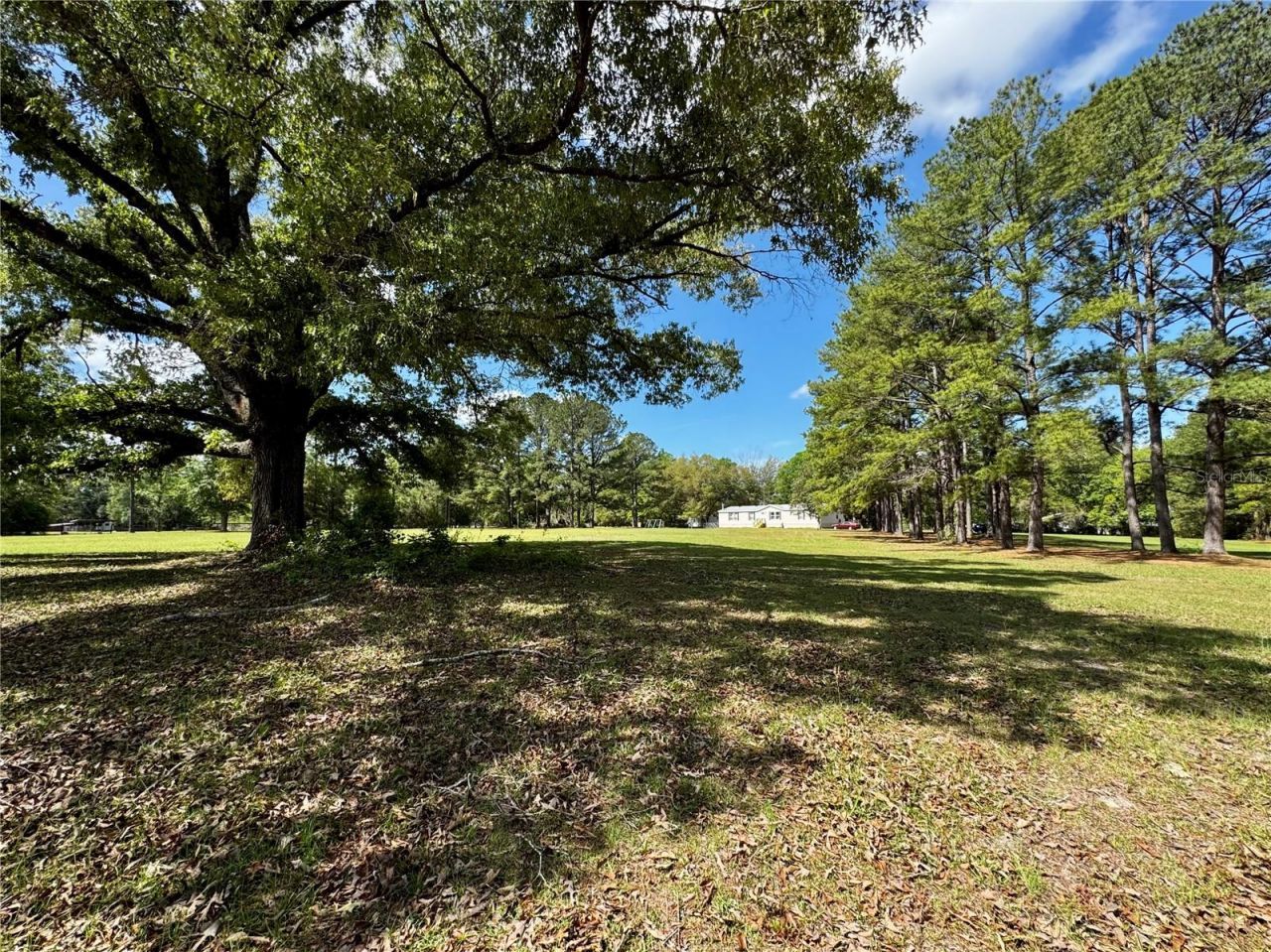 7222 NW 205th Terrace, Alachua, FL 32615 Photo