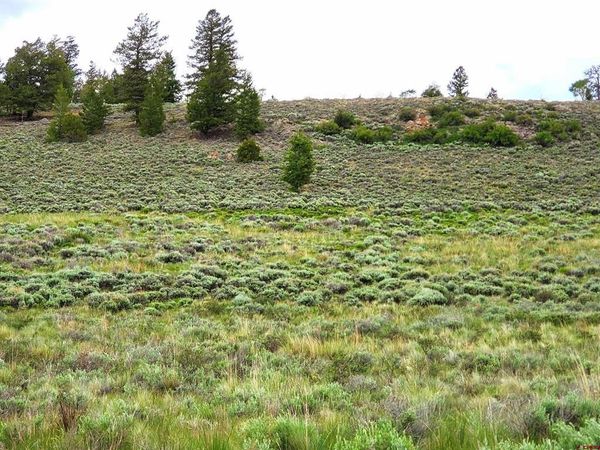 273 Schofield Trail, Powderhorn, CO 81243