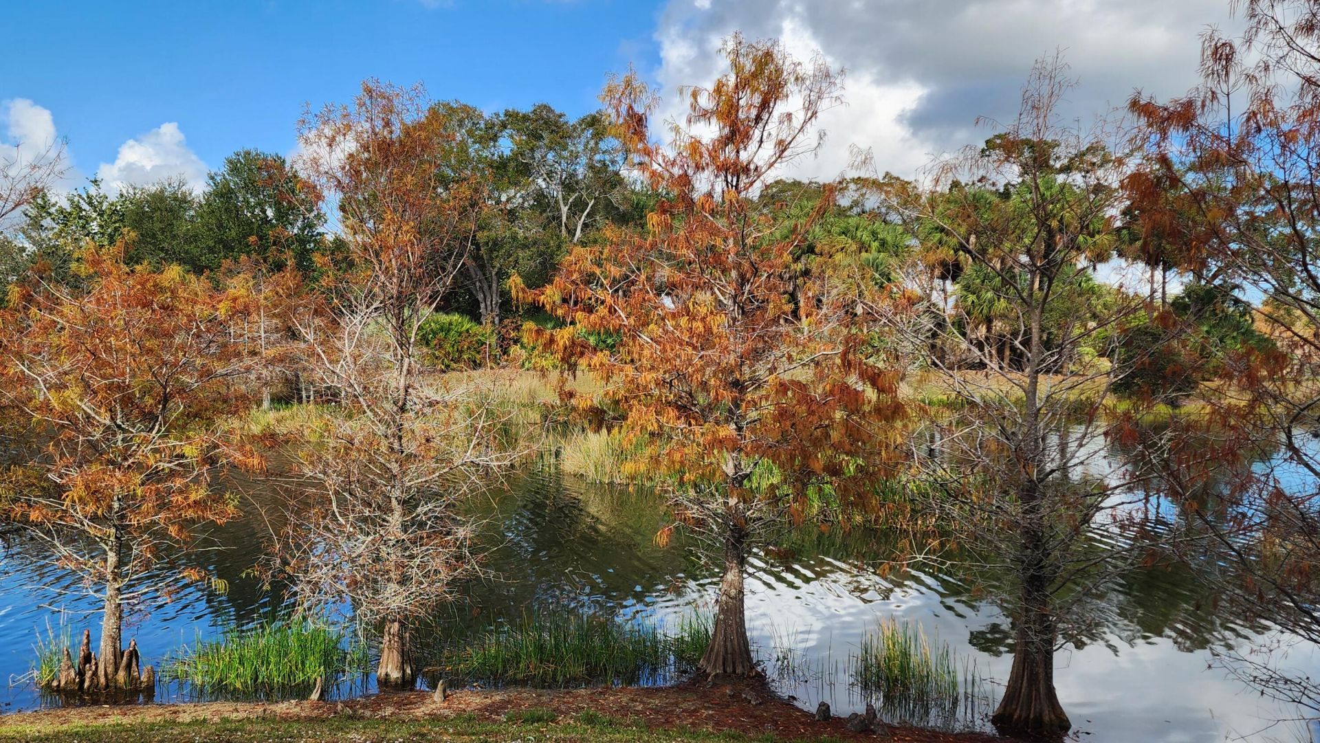 2538 SE Price Court, Port Saint Lucie, FL 34984 Photo